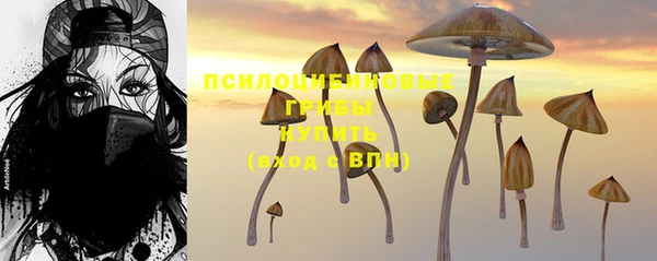 СК Приозерск